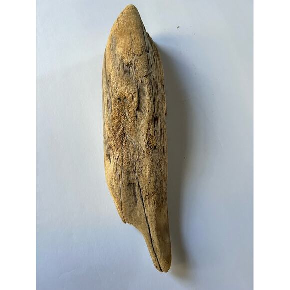 Driftwood from Hetch Hetchy dam 12 inches aquarium art decor - Picture 1 of 9
